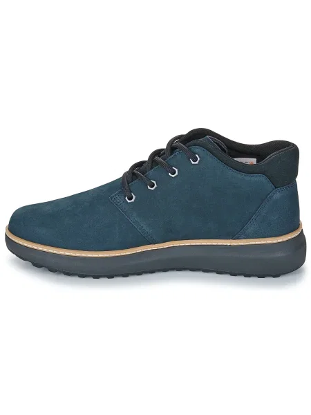Šnurovacie čipkované tenisky Timberland modrá