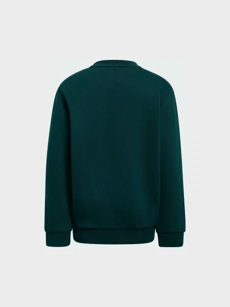 Костюмный спортивный костюм Adidas зеленый