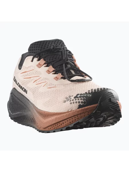 Încălțăminte de alergare pentru bărbați Salomon Aero Blaze 4 GRVL GTX vanilla ice/black negru