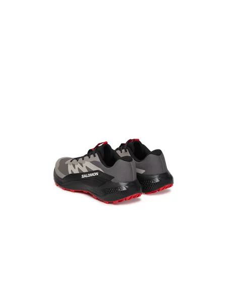 Salomon Bėgimo batai Alphaglide pilka