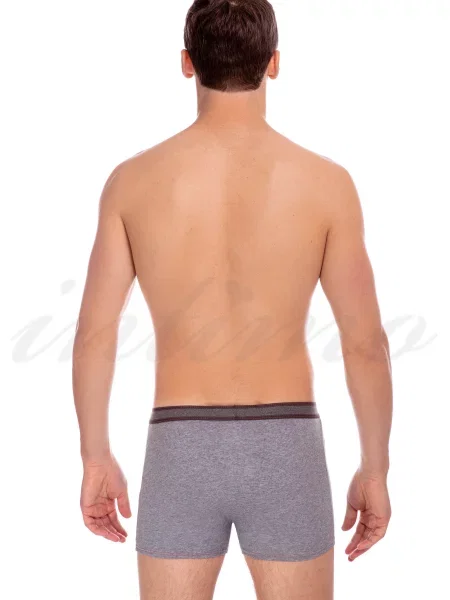 Боксеры Jolidon серые