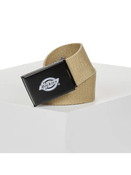 Curea Dickies bej