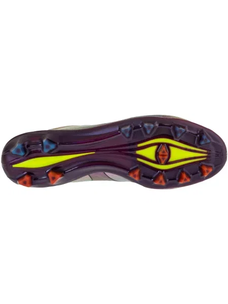 Pantofi Mizuno