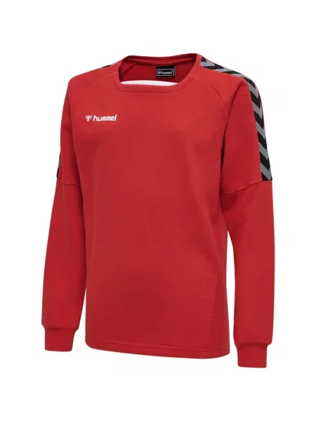 Bluza do piłki ręcznej dla dzieci Hummel hmlAUTHENTIC Training czerwona
