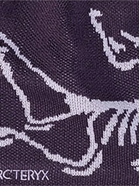 Căciulă Arc'teryx violet