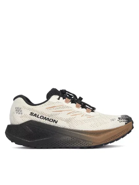 Salomon Pantofi pentru alergare Aero Blaze 4 gtx GORE-TEX bej