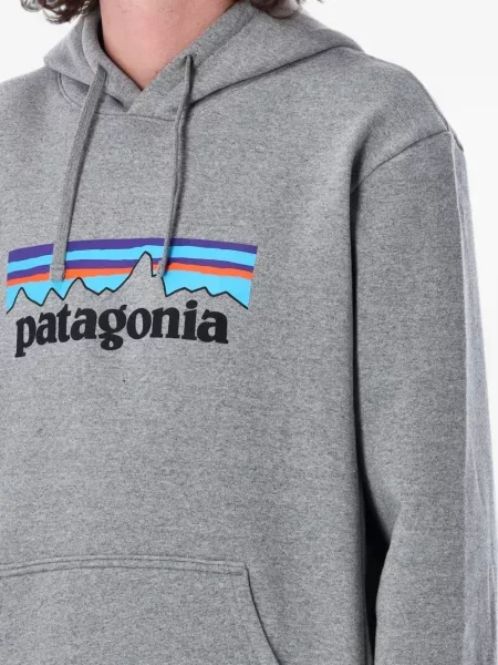 Hanorac cu glugă Patagonia cu imagine gri