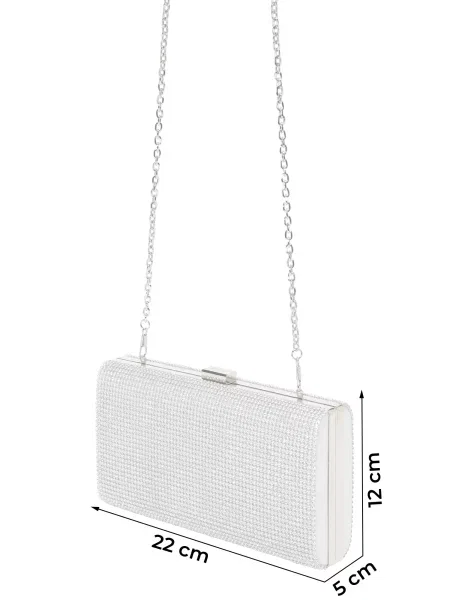 Mascara Clutch argintiu / transparent