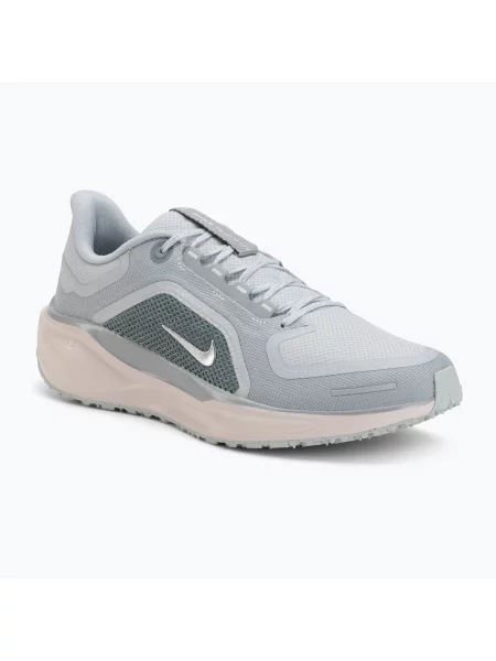 Încălțăminte de alergare pentru bărbați Nike Pegasus 41 GTX light pumice/pure platinum/silt red/metal silver roșu