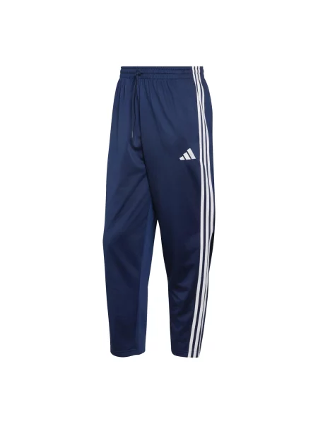 ADIDAS SPORTSWEAR Pantaloni DAYRDY bleumarin alb