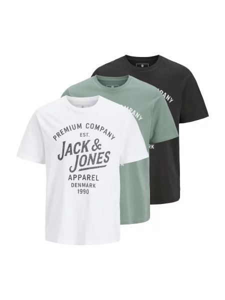 Jack & Jones Premium Tričko JPRBLUZANE mätová / čierna biela