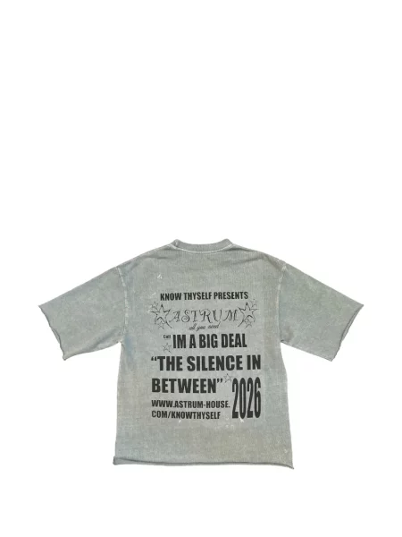 Tricou Astrum zdrențuiți gri