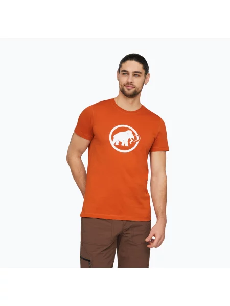 Tricou pentru bărbați Mammut Core T-Shirt Classic autumn larice