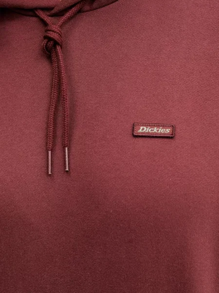 Кофта Dickies CLANCY з капюшоном однотонна чорний