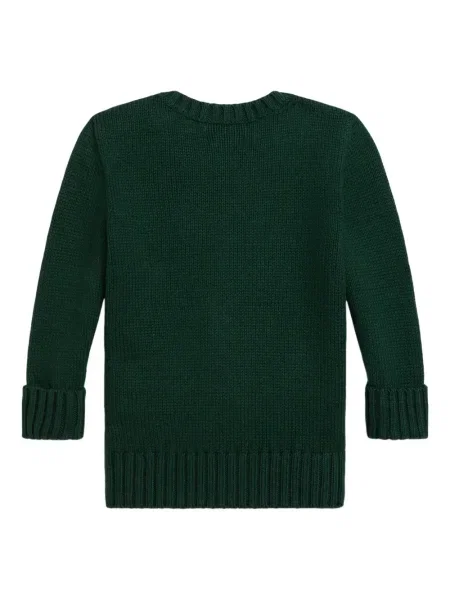Pulover copii Polo Ralph Lauren verde