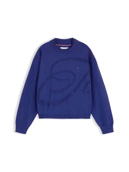TOMMY HILFIGER Pulover închis albastru