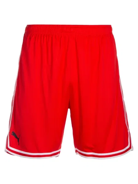 PUMA Pantaloni sport Hoops Team Game roșu / negru alb