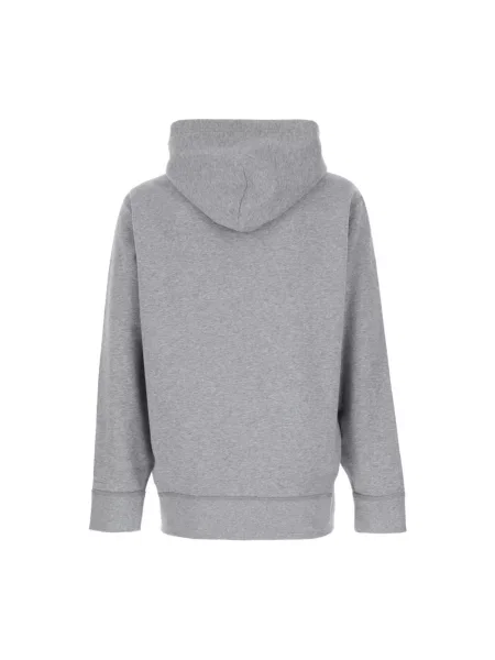 Bluza z kapturem Polo Ralph Lauren z kapturem szara