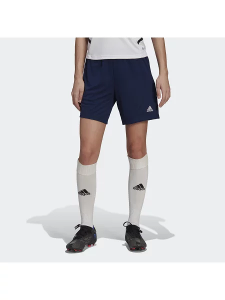 Szorty Adidas niebieskie