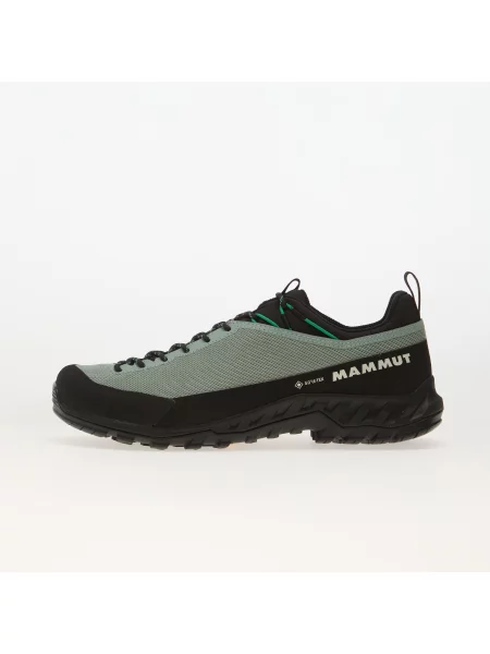 Sneakers Mammut Alnasca IV Low GTX Deep Silver Sage/ Pinea EUR 43