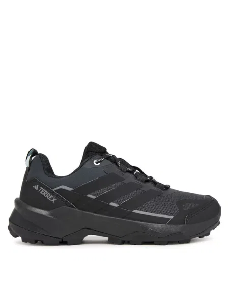 Adidas Trekking čevlji Terrex Skychaser črna