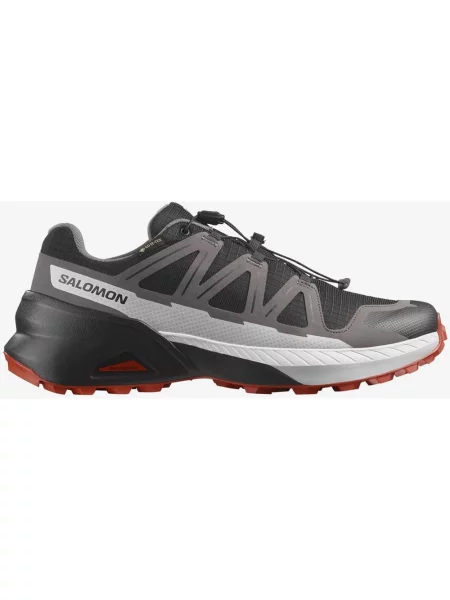 Buty do biegania Salomon Speedcross Peak GORE-TEX szary czerwony 40 czarny