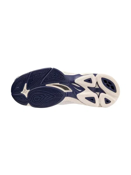 Pantofi Mizuno