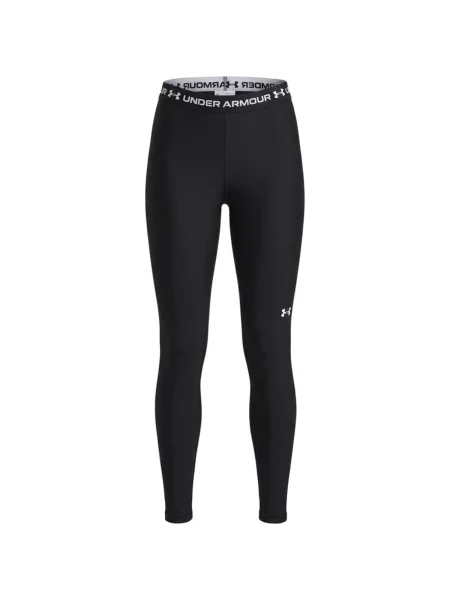Dresuri Under Armour negru