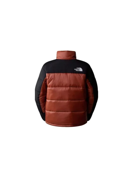 Bunda The North Face izolované hnedá