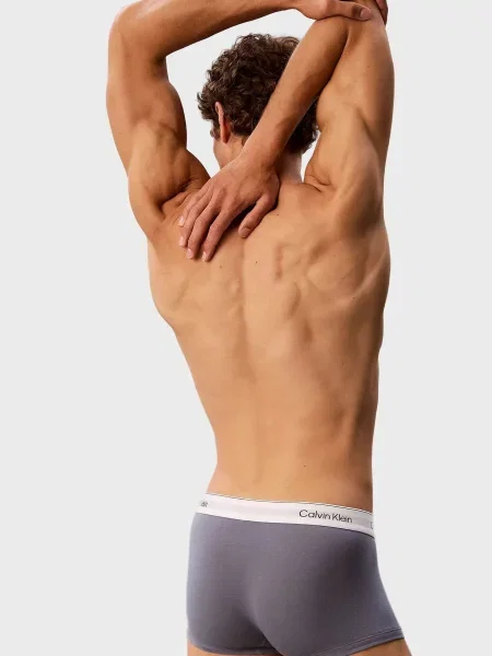 Боксеры Calvin Klein с низкой посадкой