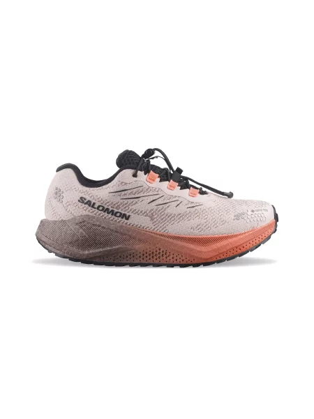 Salomon Aero Blaze 4 Grvl Gtx W Rainy Day Kobiety Buty sportowe Salomon Beige Size: beżowe