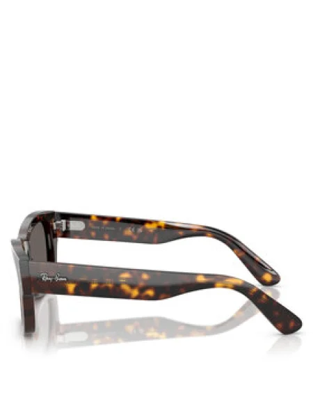 Ray-Ban Slnečné okuliare Hnedá čierna