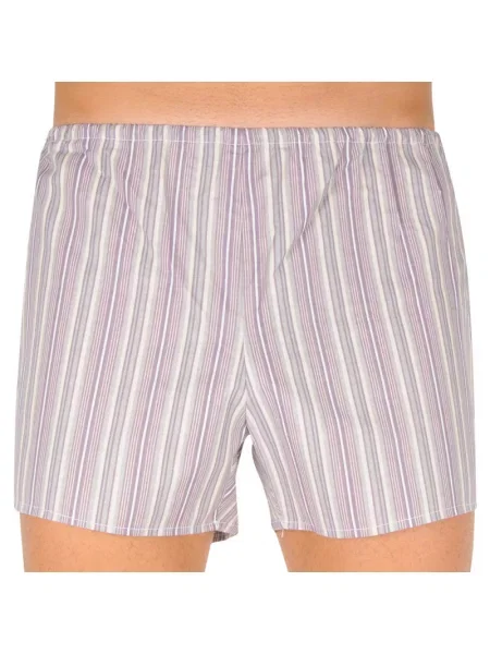 Pantaloni scurți Foltýn cu dungi gri