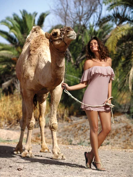 Tunika Marko brązowa