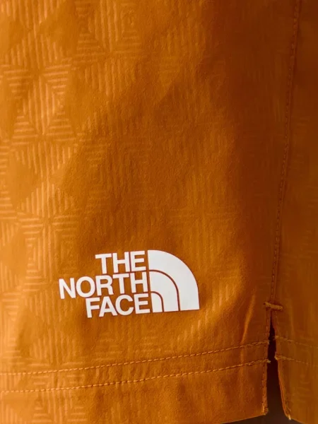 Спортивные шорты The North Face