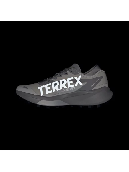 Trailové běžecké boty Terrex Agravic GTX 2 šedé