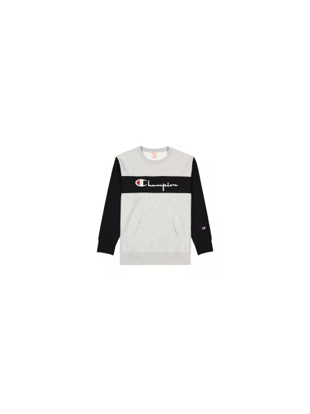 Champion Colour Block Kangaroo Pocket Reverse Weave Sweatshirt Mężczyźni Bluzy i bluzy z kapturem Champion Size: M szary