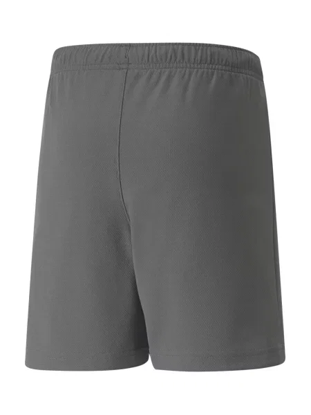PUMA Športne hlače TeamRise siva bela