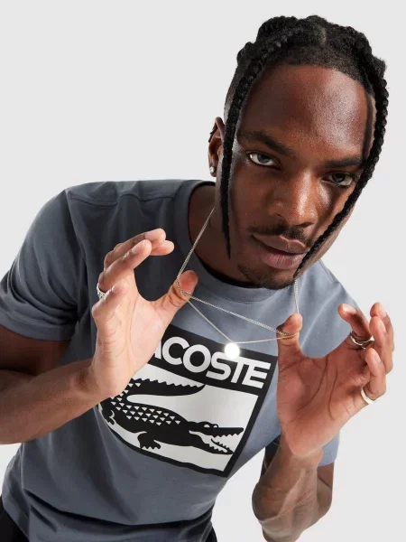 Lacoste T-Shirt Large Box szara