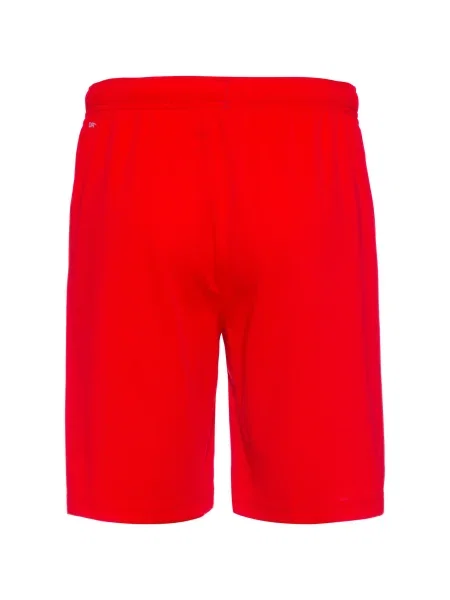 PUMA Pantaloni sport TeamRise roșu alb