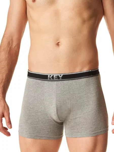 Боксеры Key серые