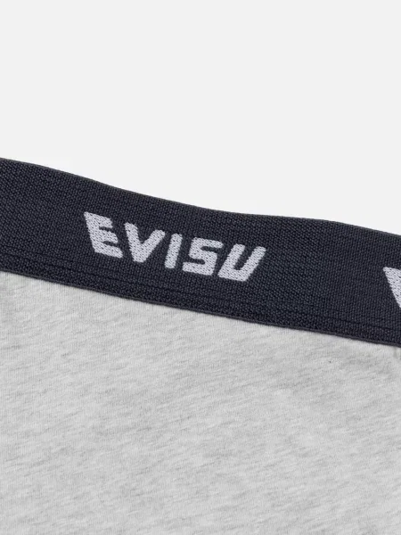 Boxeri Evisu cu imagine gri