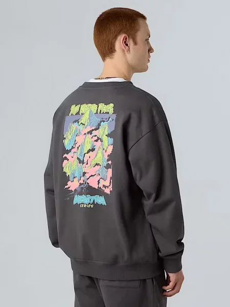 Свитшот The North Face серый