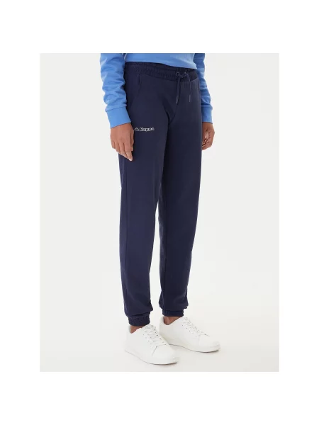 Kappa Спортивні штани Festa Regular Fit cиній