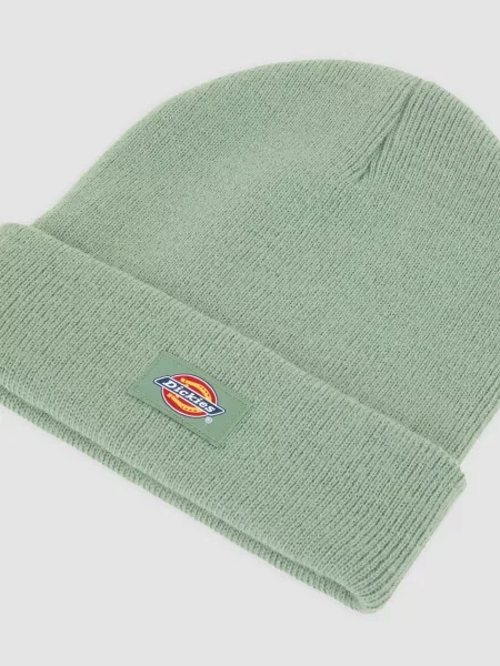 Dickies Gibsland Шапка Унісекс зелений