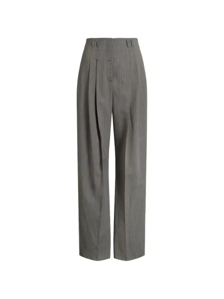 Pantaloni Alberta Ferretti gri