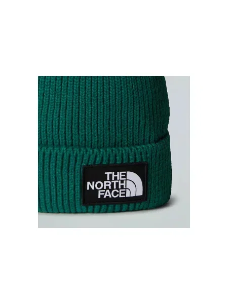 Căciulă The North Face verde