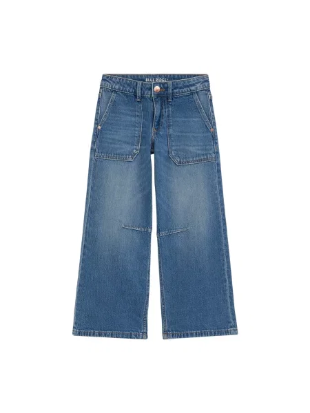 WE Fashion Jeans albastru