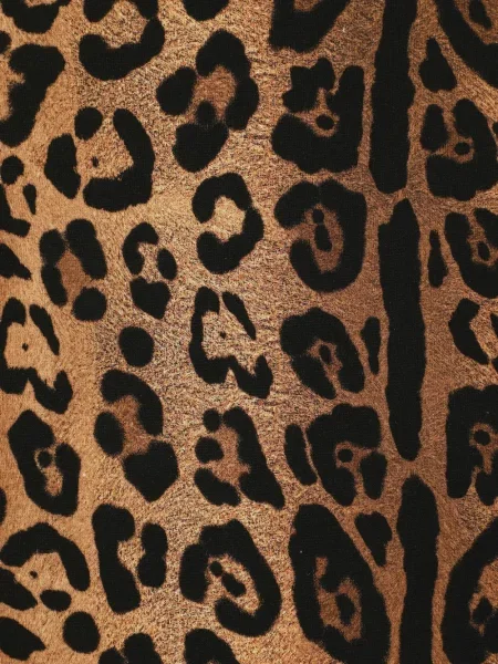 Raštuotas marškinėliai Dolce & Gabbana leopardinis apvaliu kaklu ruda