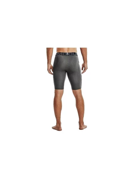 Pantaloni Under Armour gri